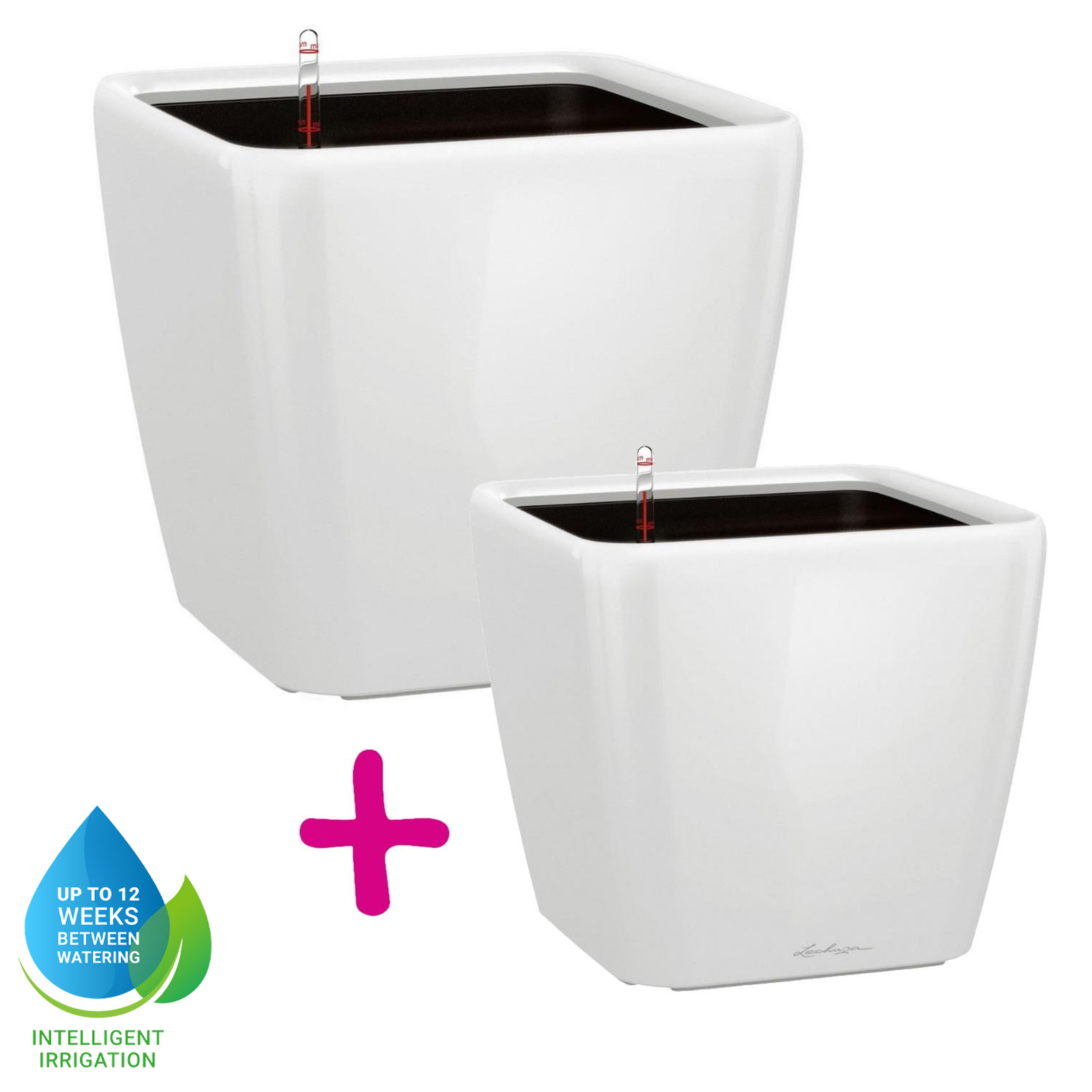 LECHUZA Quadro LS Square Poly Resin Self-watering Planter Set