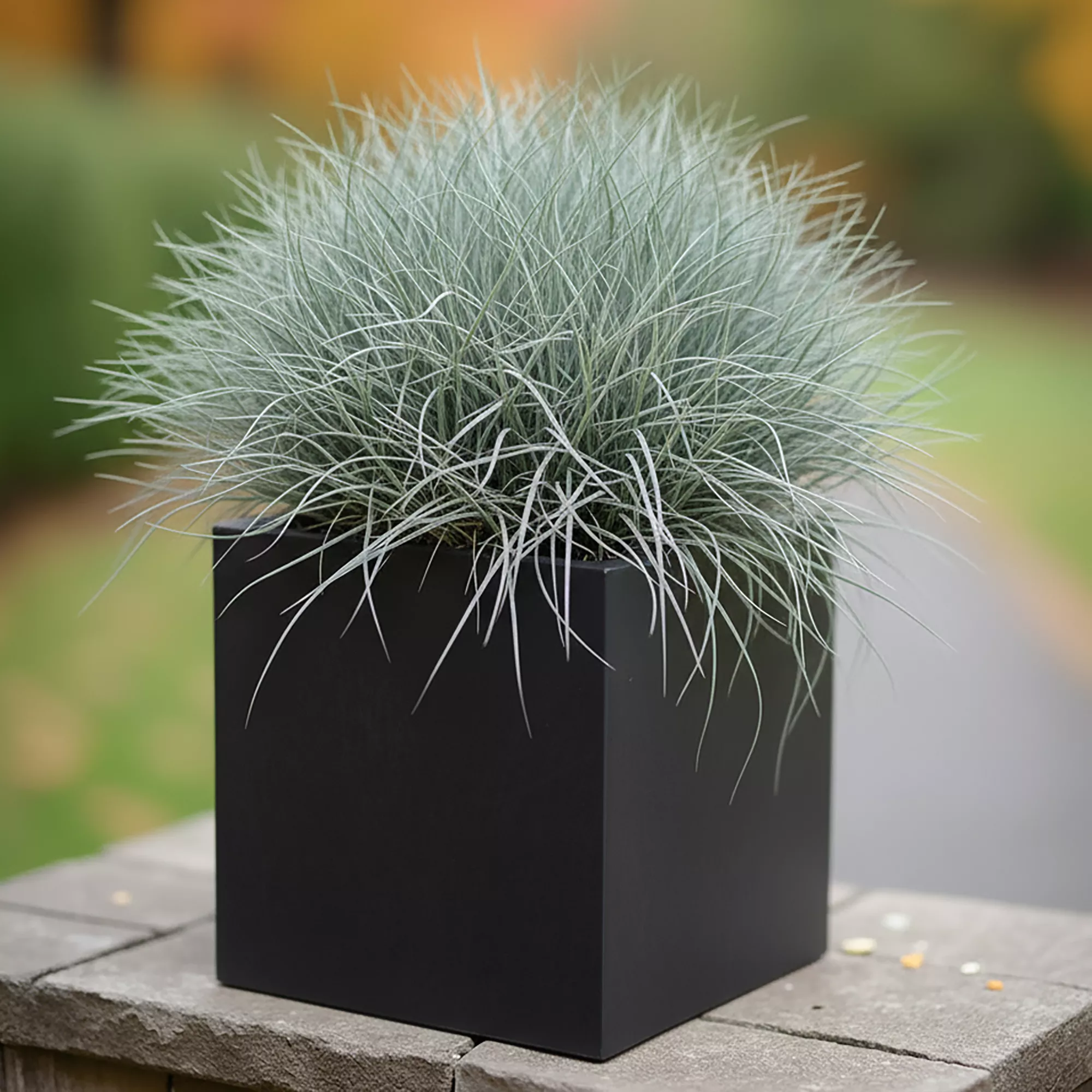 IDEALIST Lite Square Box Contemporary Light Concrete Planter