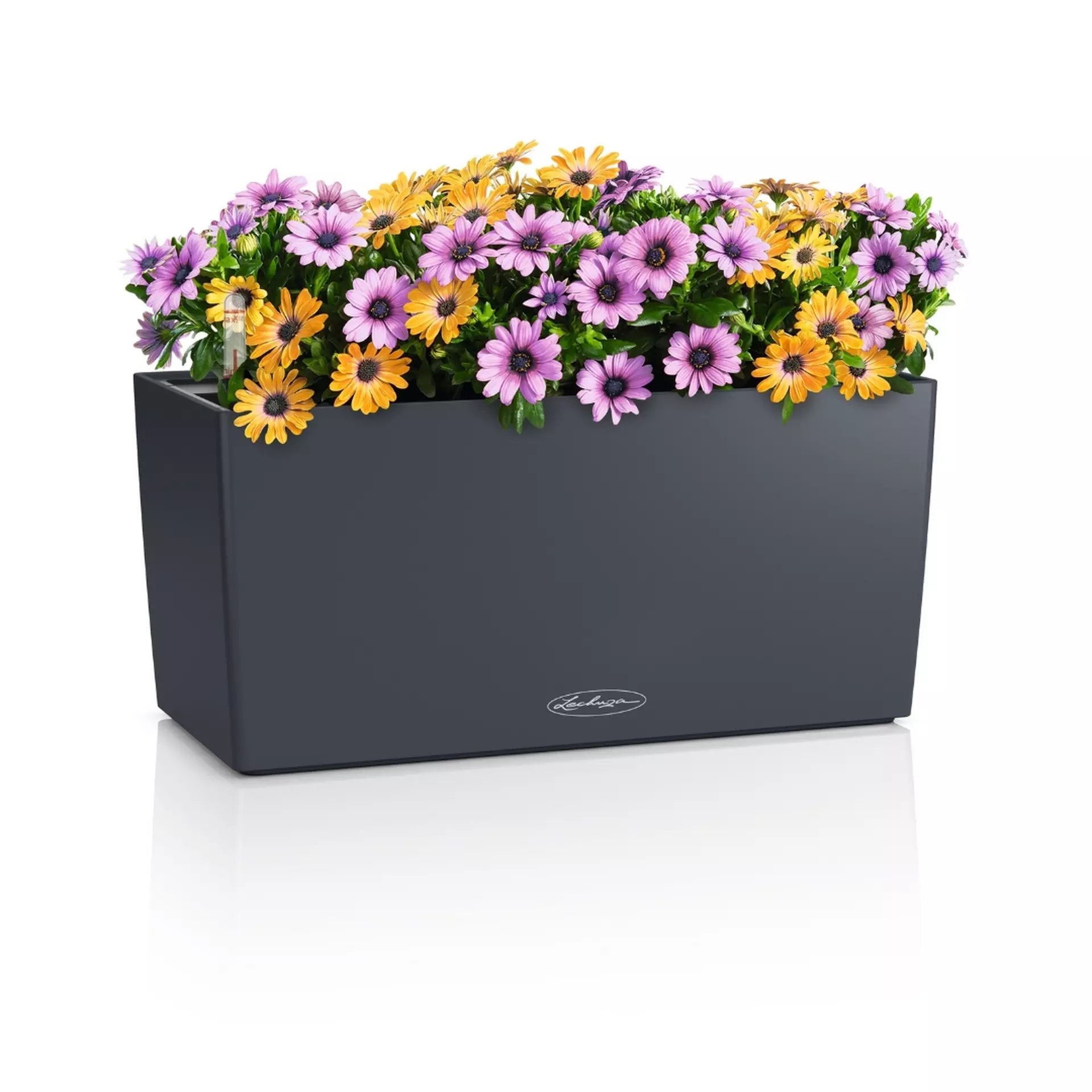 LECHUZA BALCONERA Color Trough Poly Resin Self-watering Planter
