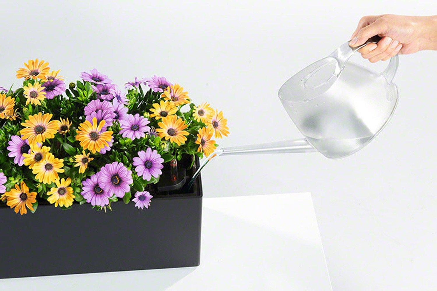 LECHUZA BALCONERA Cottage Trough Poly Resin Self-watering Planter Set