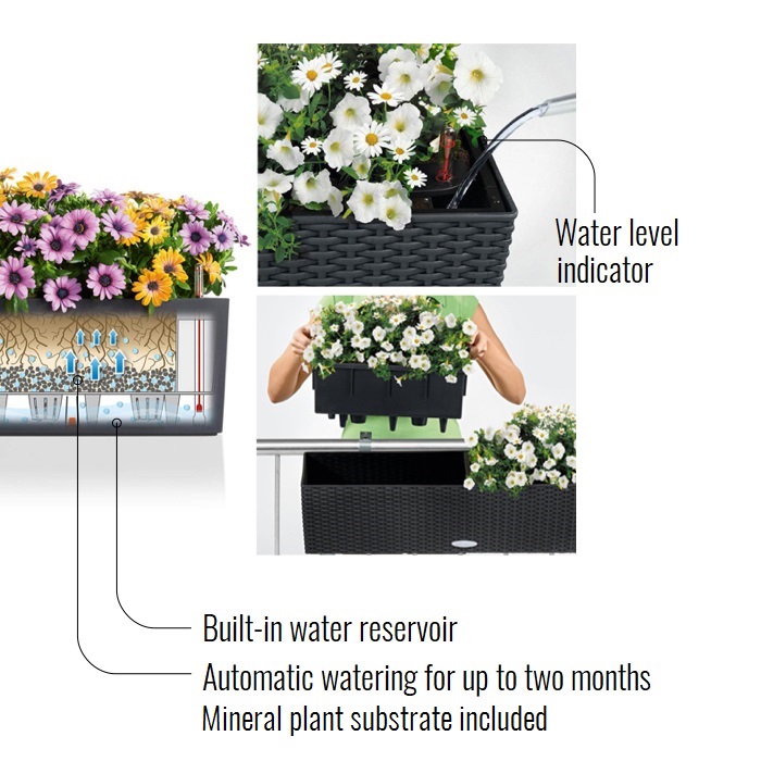 LECHUZA BALCONERA Cottage Trough Poly Resin Self-watering Planter