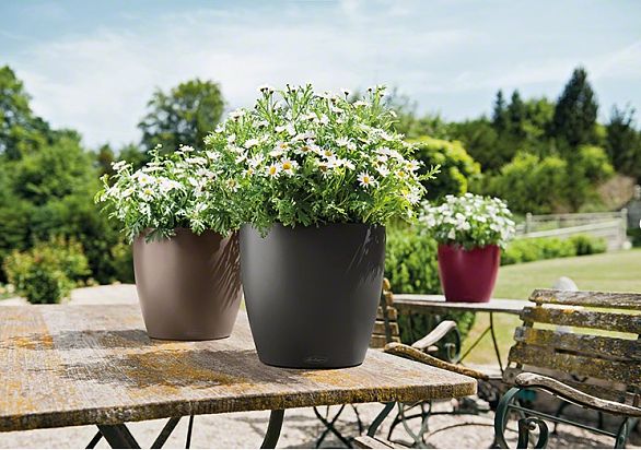 LECHUZA CLASSICO Color Round Poly Resin Self-watering Planter