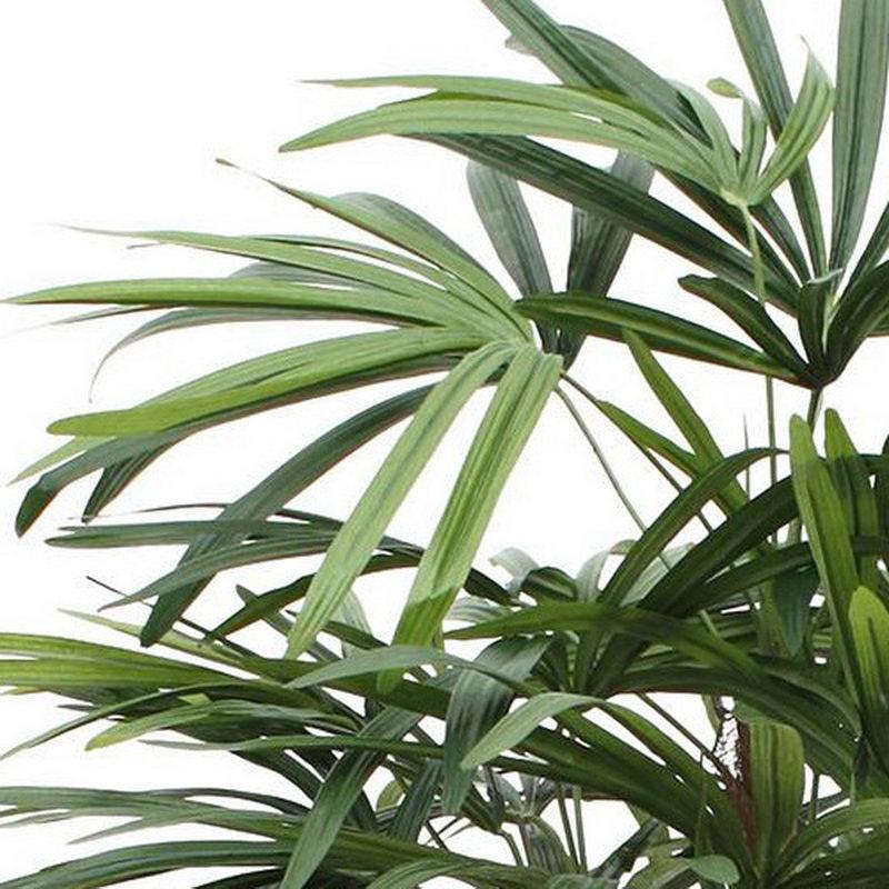RHAPIS PALM DELUXE Artificial Tree Plant