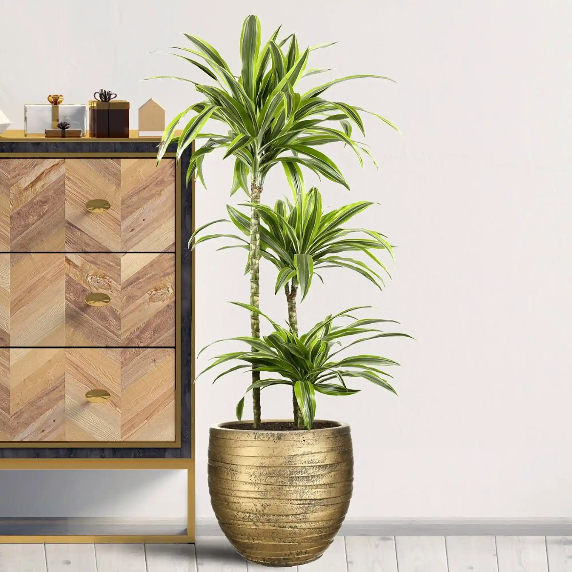 IDEALIST Lite Row Style Round Indoor Planter