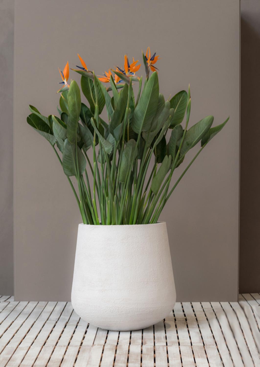 Fibrestone Pax Round Planter by Idealist Premium