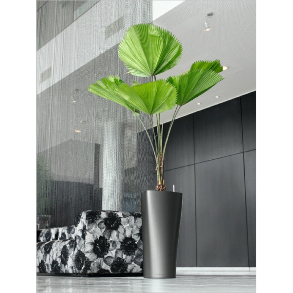 LECHUZA Delta Round Tall Poly Resin Self-watering Planter