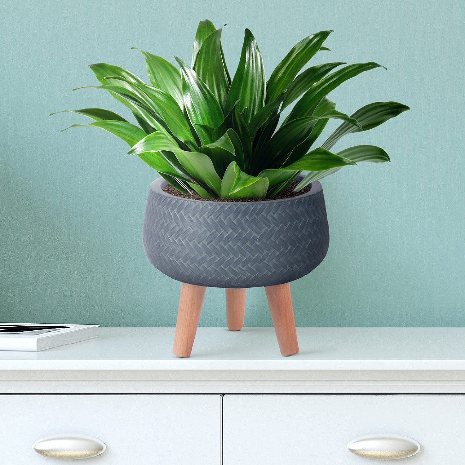 IDEALIST Lite Plaited Style Bowl Planter on Legs, Round Pot Plant Stand Indoor