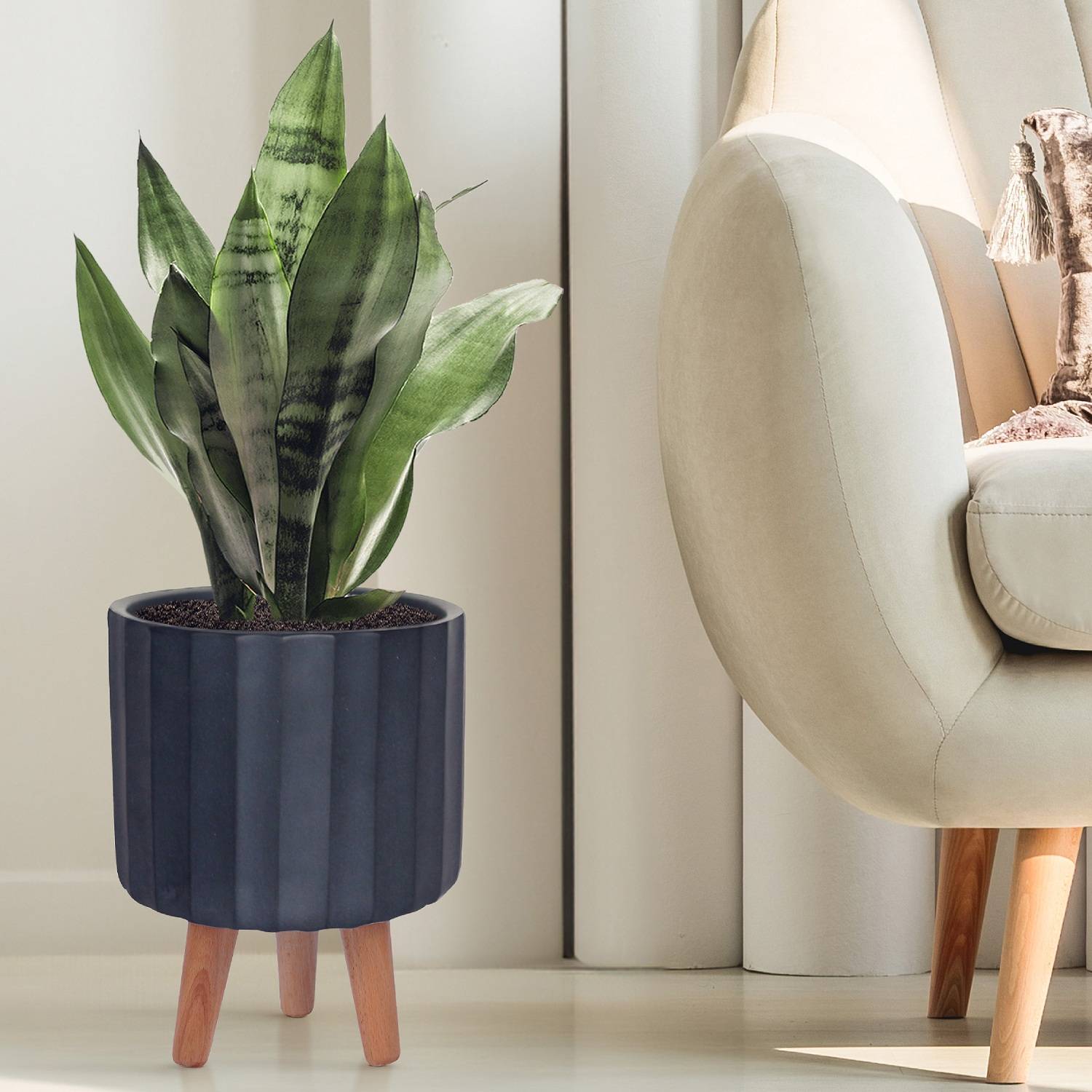 IDEALIST Lite Modern Ribbed Black Cylinder Planter with Legs, Round Indoor Plant  Pot Stand for Indoor Plants D20 H32 cm, 7.6L - from 35.99 | Getpotted.com