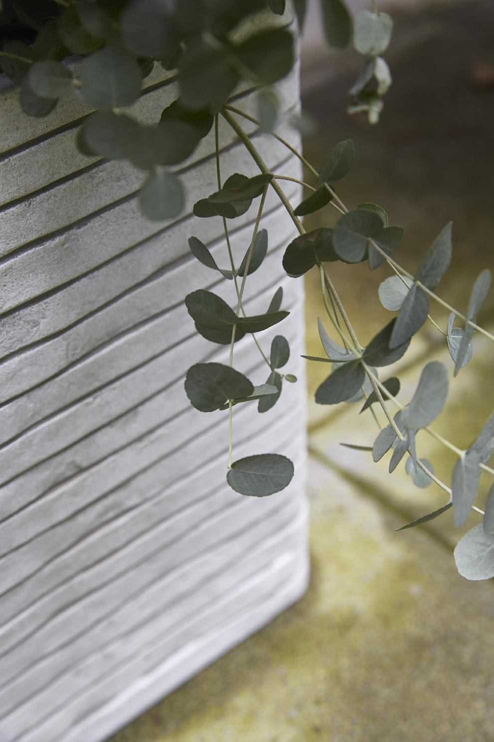 Square Resin Planter by Cadix Capi Tutch Row