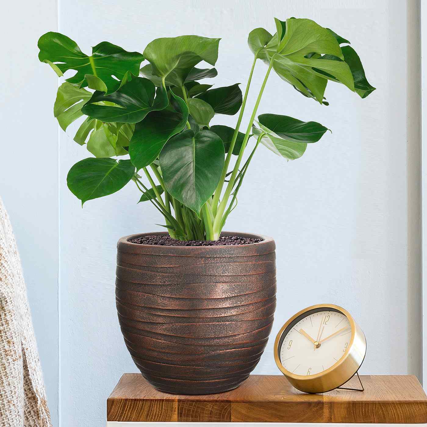 IDEALIST Lite Row Style Round Indoor Planter