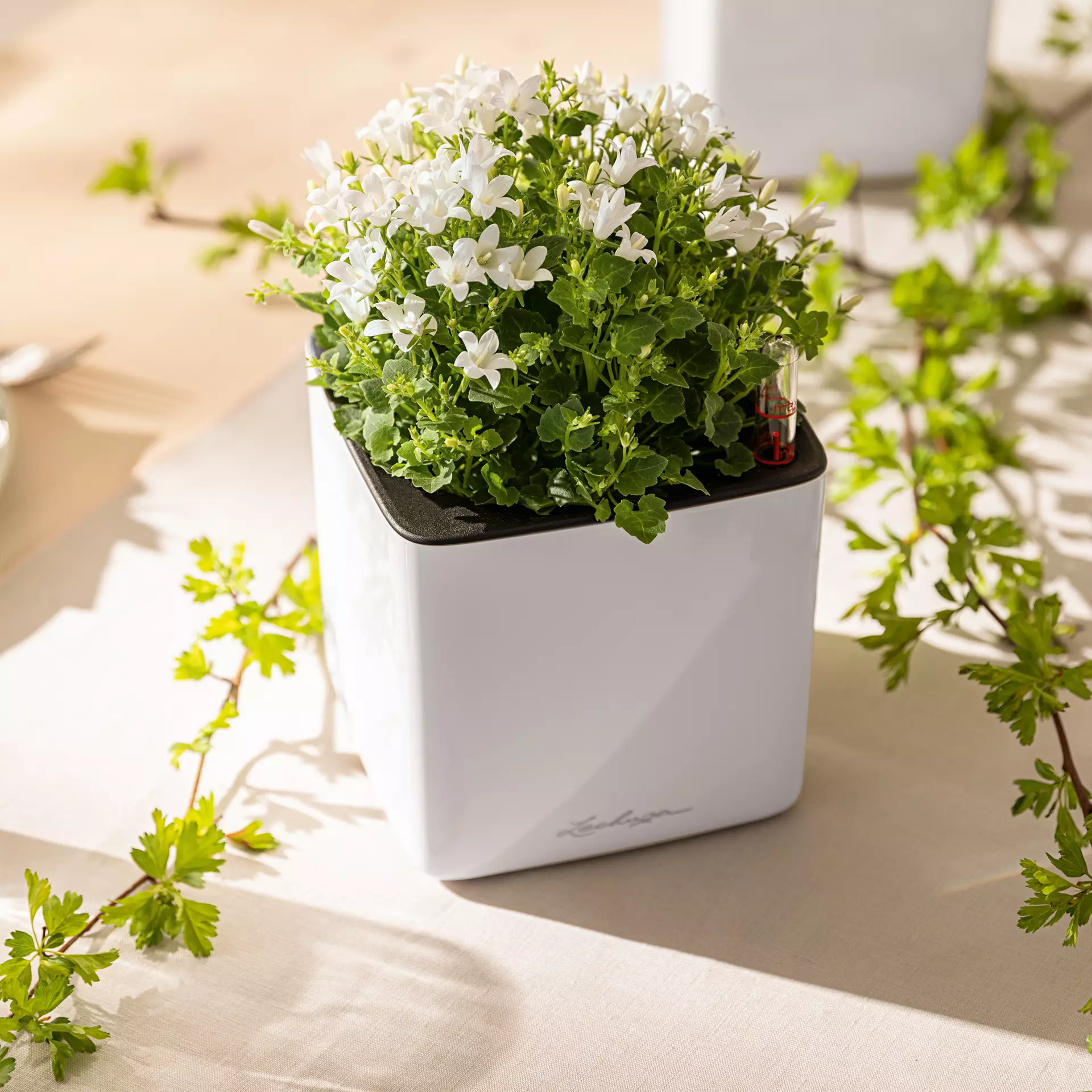 LECHUZA CUBE Glossy Square Poly Resin Indoor Self-watering Planter