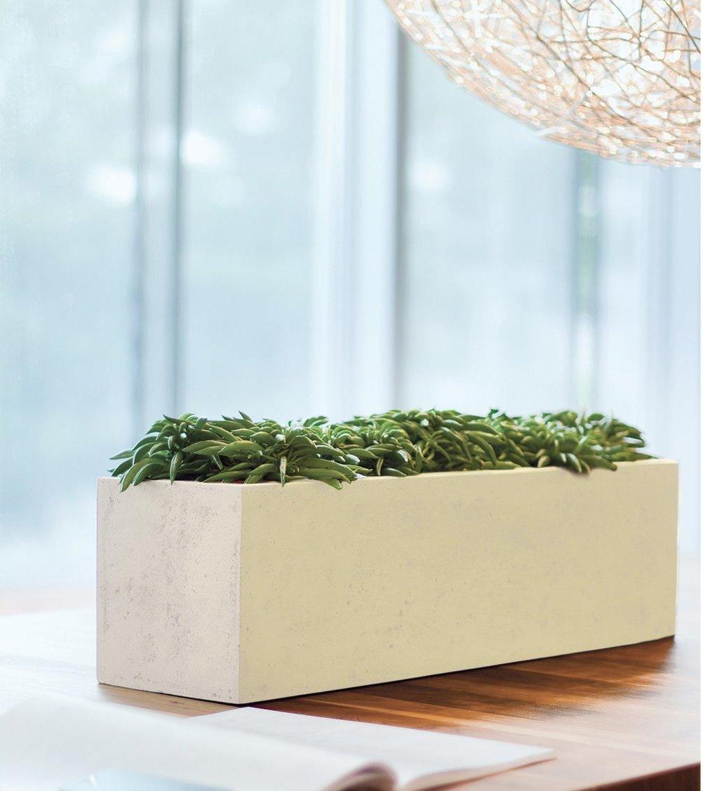 Trough Polystone Planter by Fleur Ami