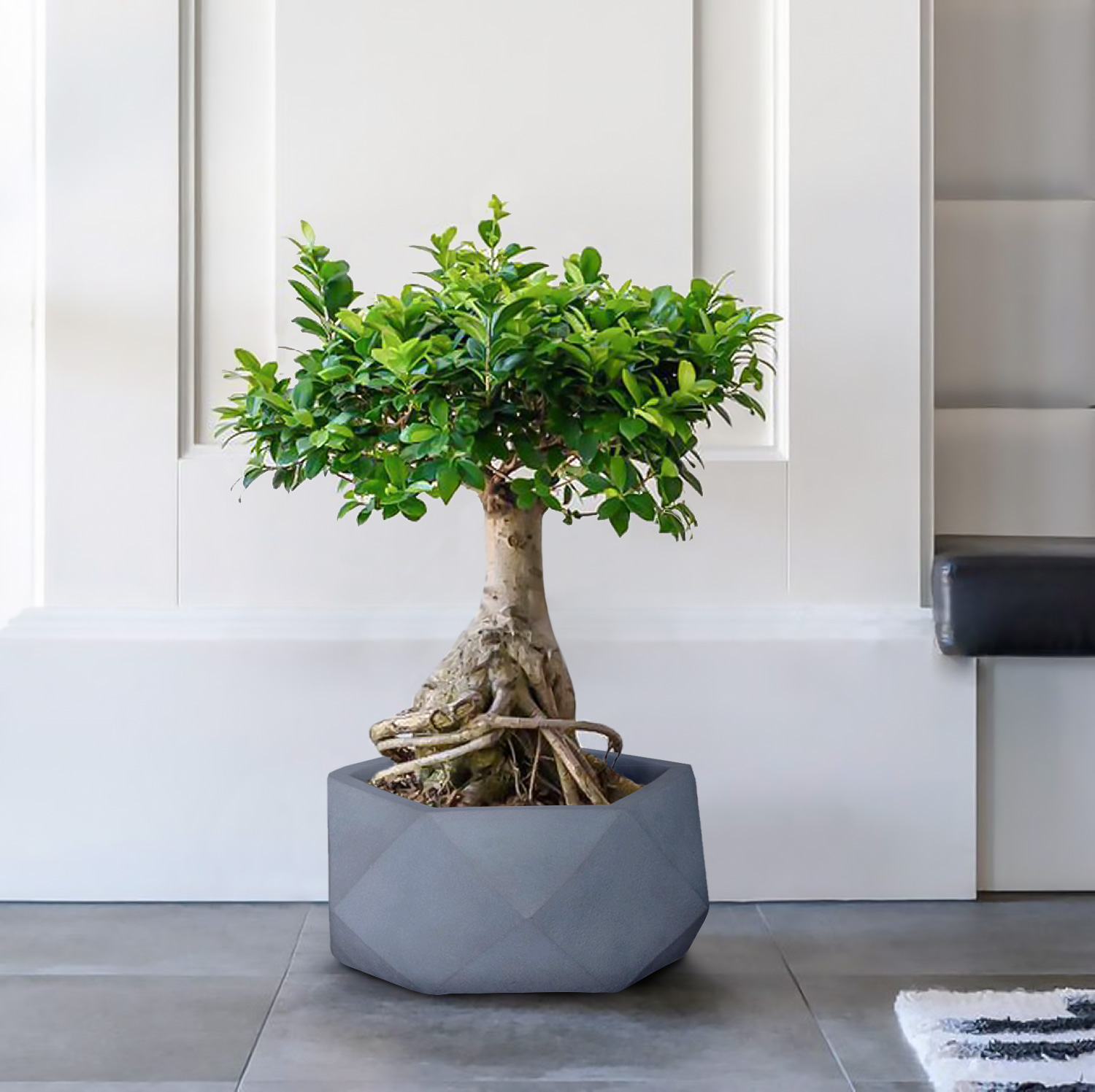IDEALIST Lite Faceted Effect Bowl Planter Indoor Plant Pot