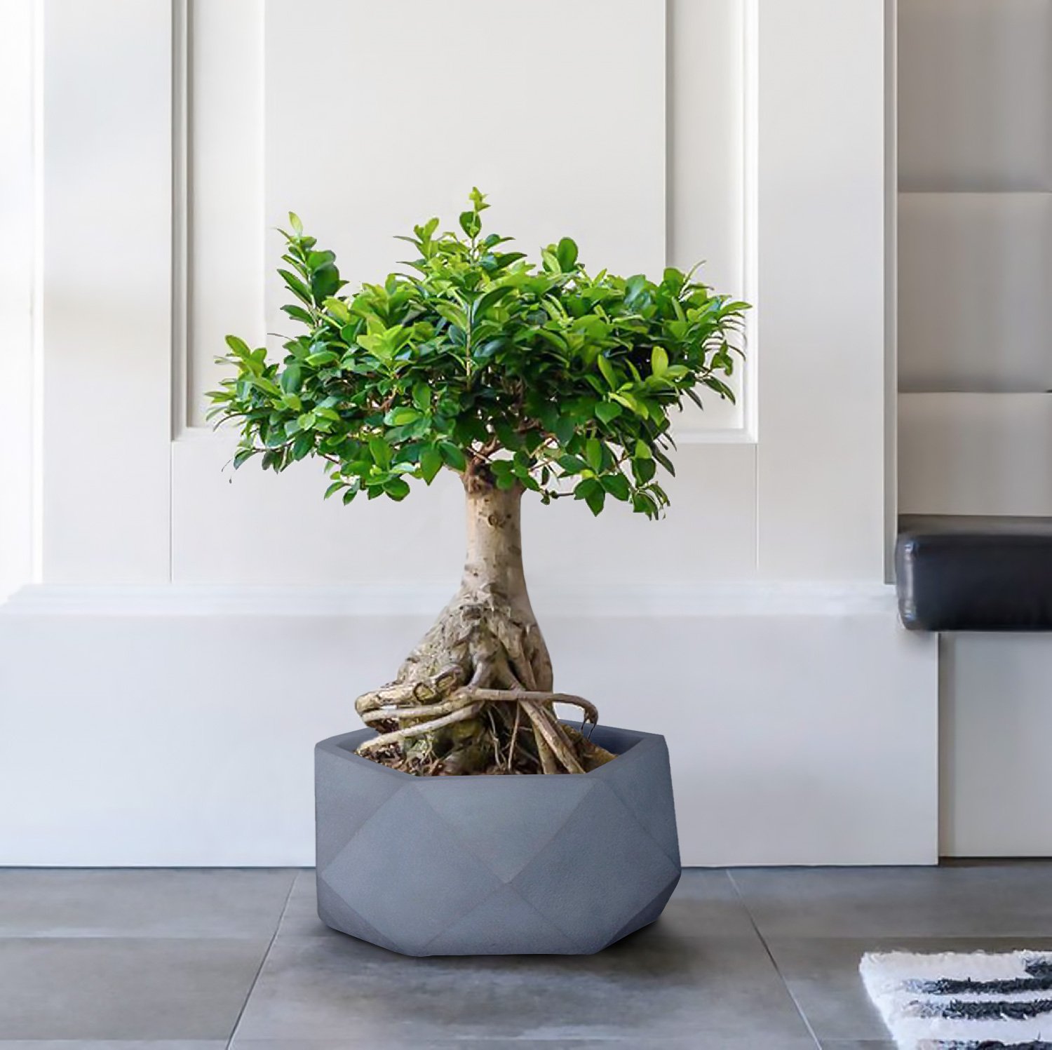 IDEALIST Lite Faceted Effect Bowl Planter Indoor Plant Pot