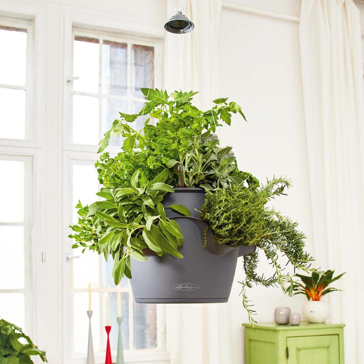 LECHUZA CASCADINO Suspension Accessory