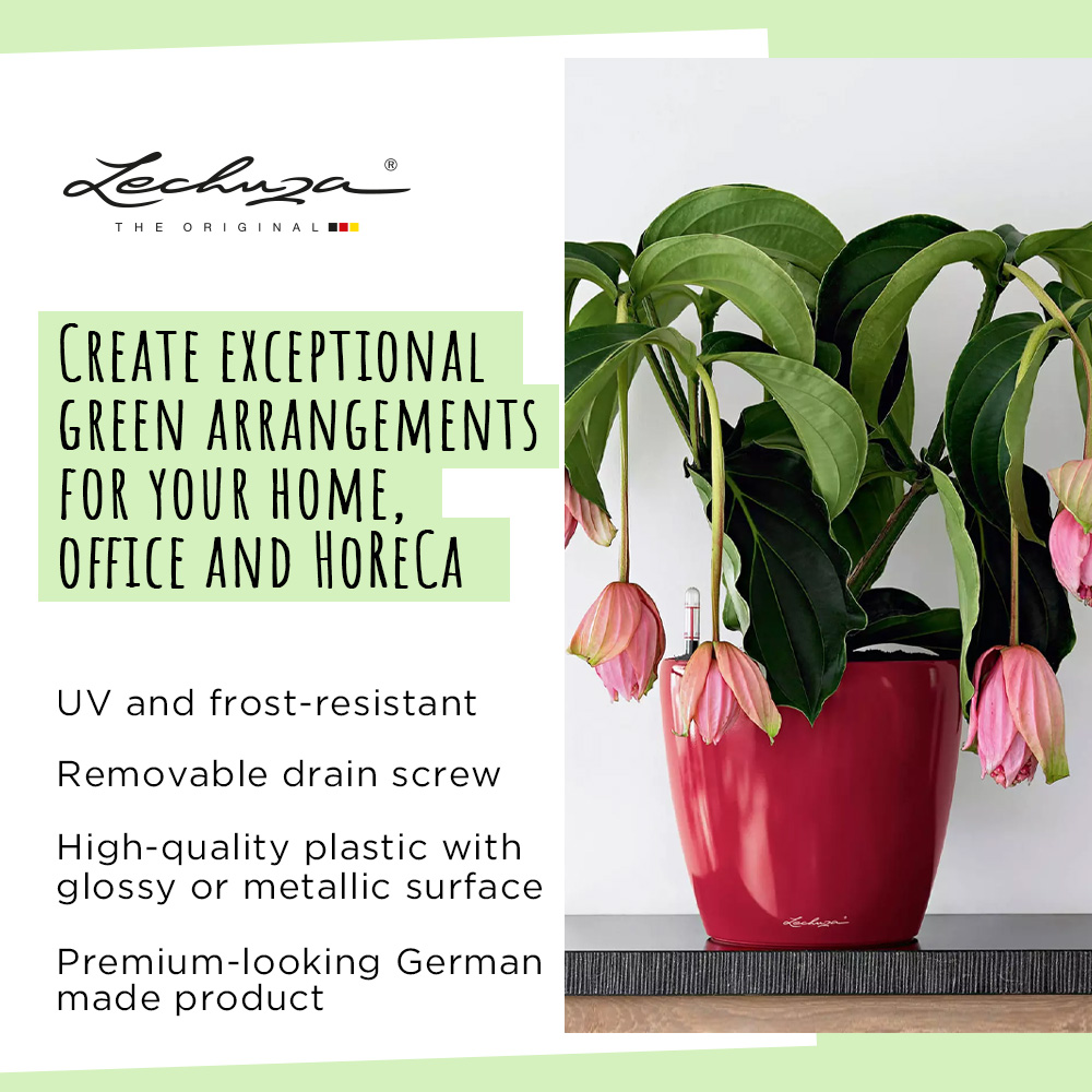 LECHUZA CLASSICO LS Round Poly Resin Self-watering Planter
