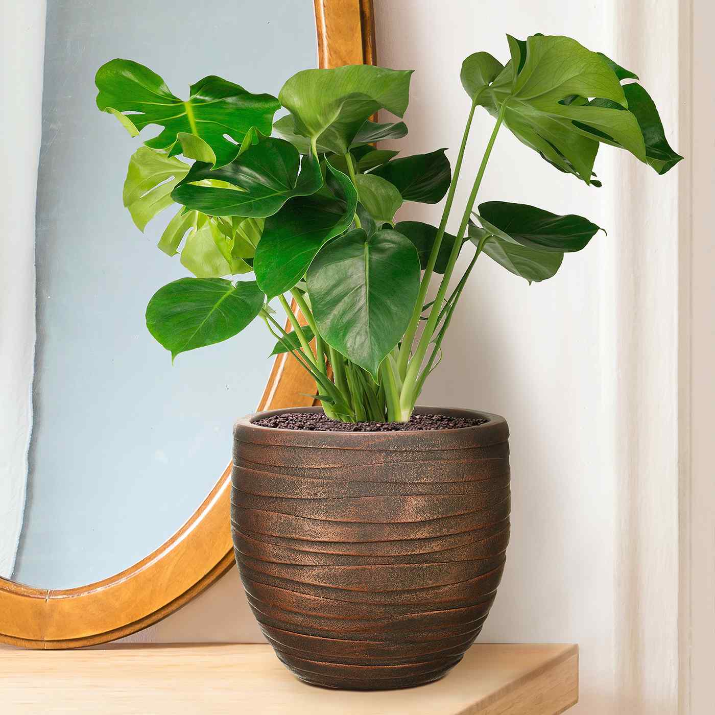 IDEALIST Lite Row Style Round Indoor Planter