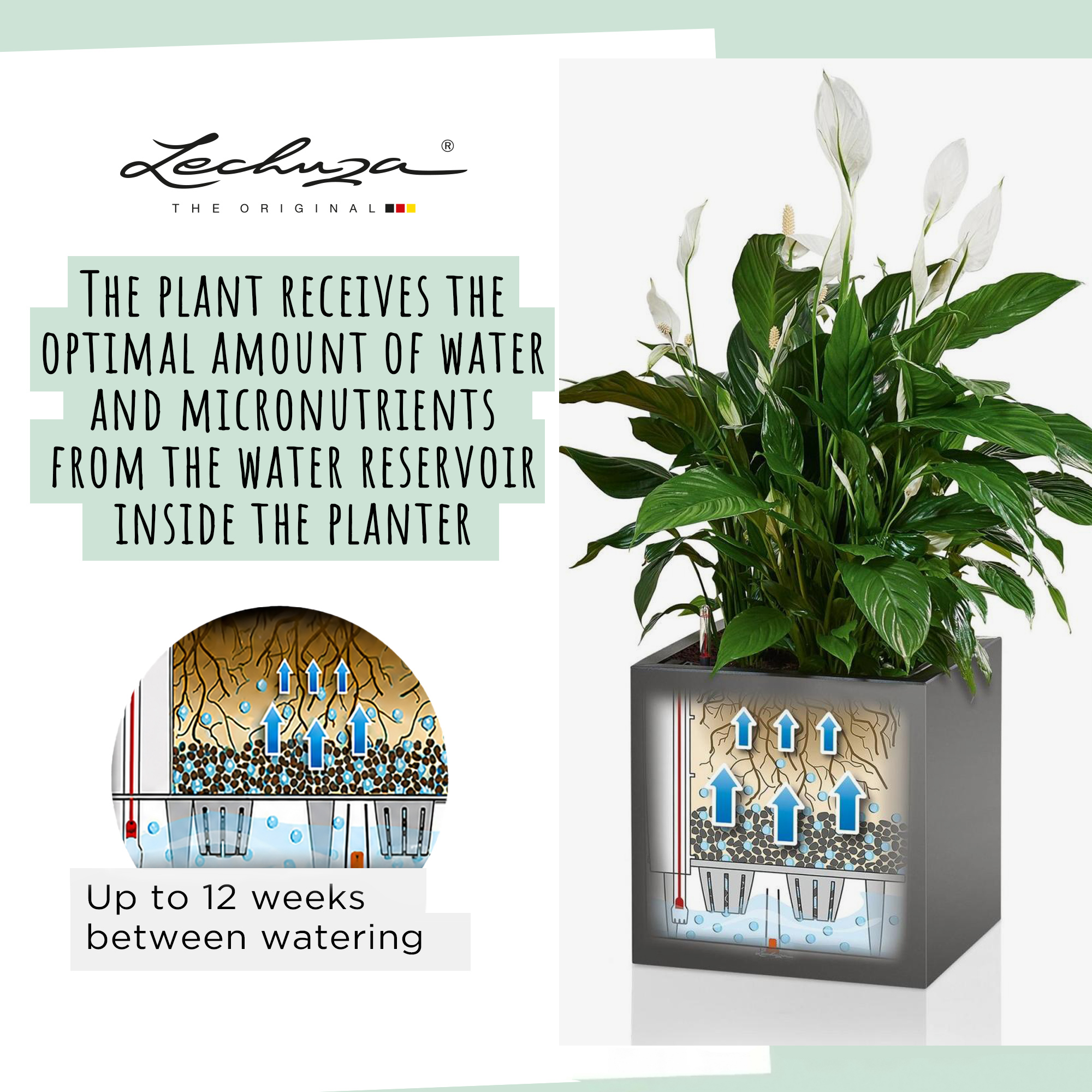 LECHUZA CANTO Low Square Poly Resin Self-watering Planter