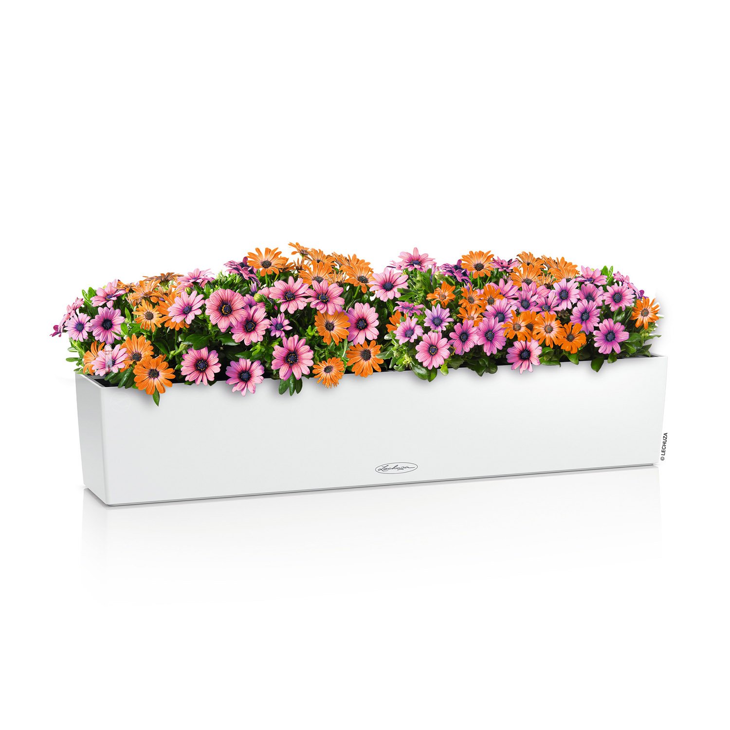 LECHUZA BALCONERA Color Trough Poly Resin Self-watering Planter