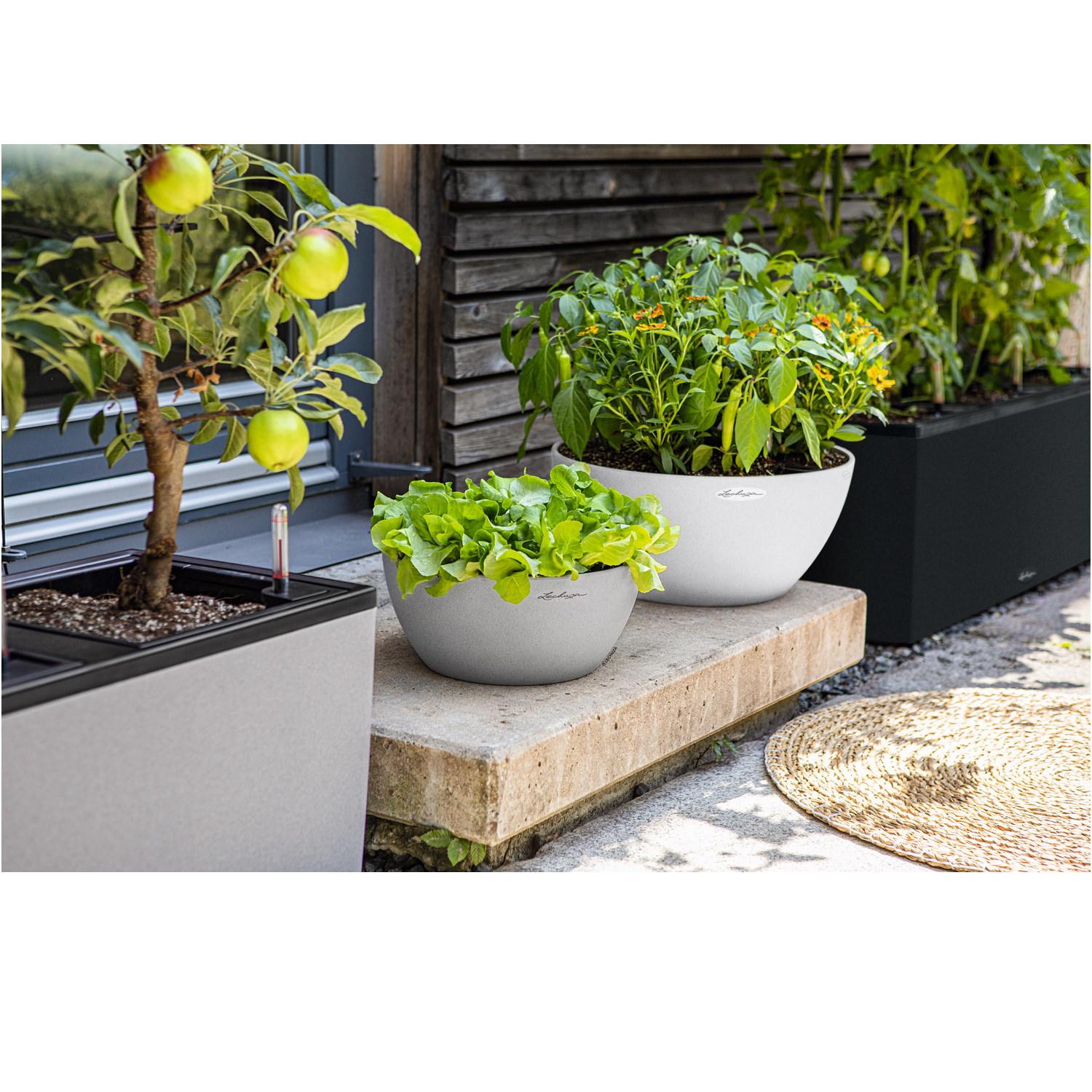 LECHUZA CUBETO COLOR Round Stone Look Poly Resin Self-watering Planter