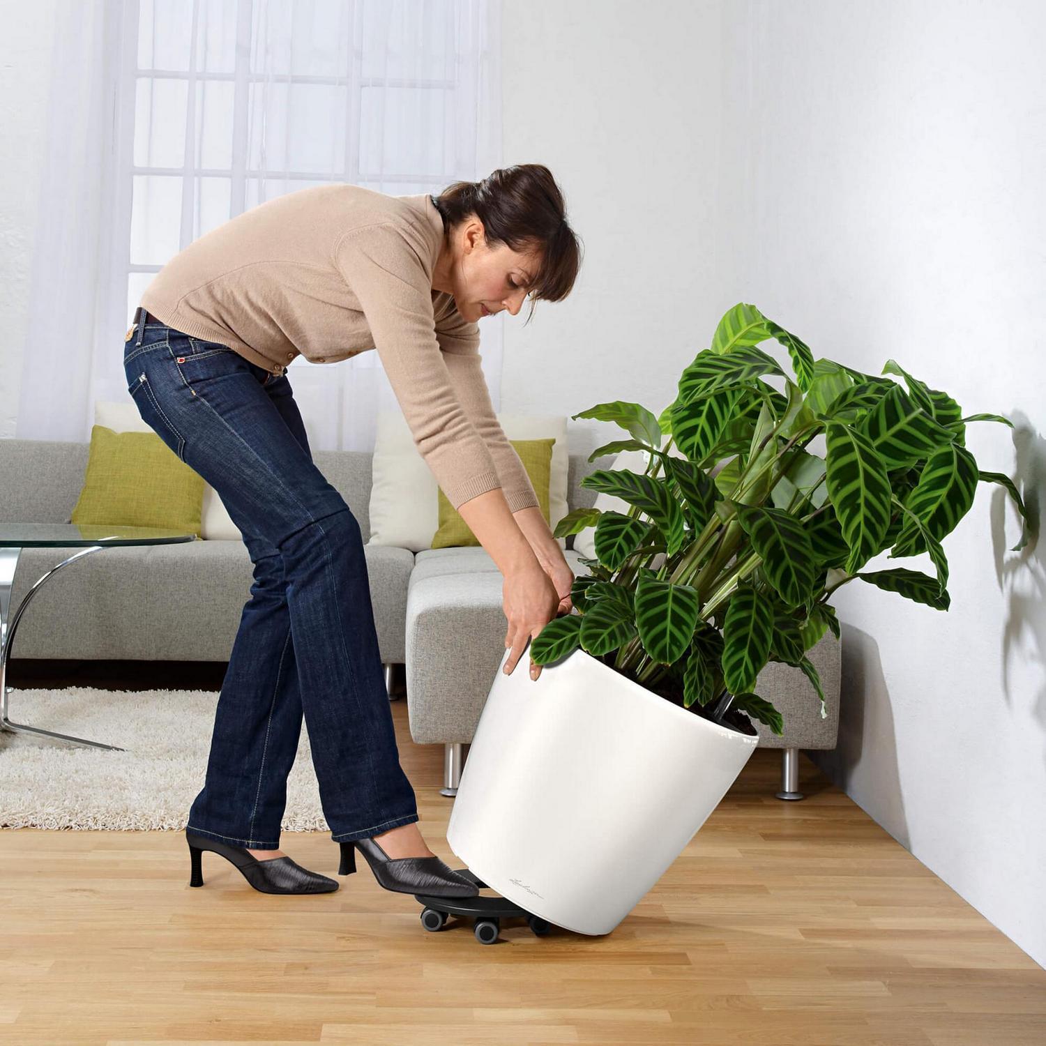 LECHUZA CLASSICO Round Poly Resin Self-watering Planter with Substrate