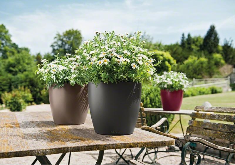 LECHUZA CLASSICO Color Round Poly Resin Self-watering Planter