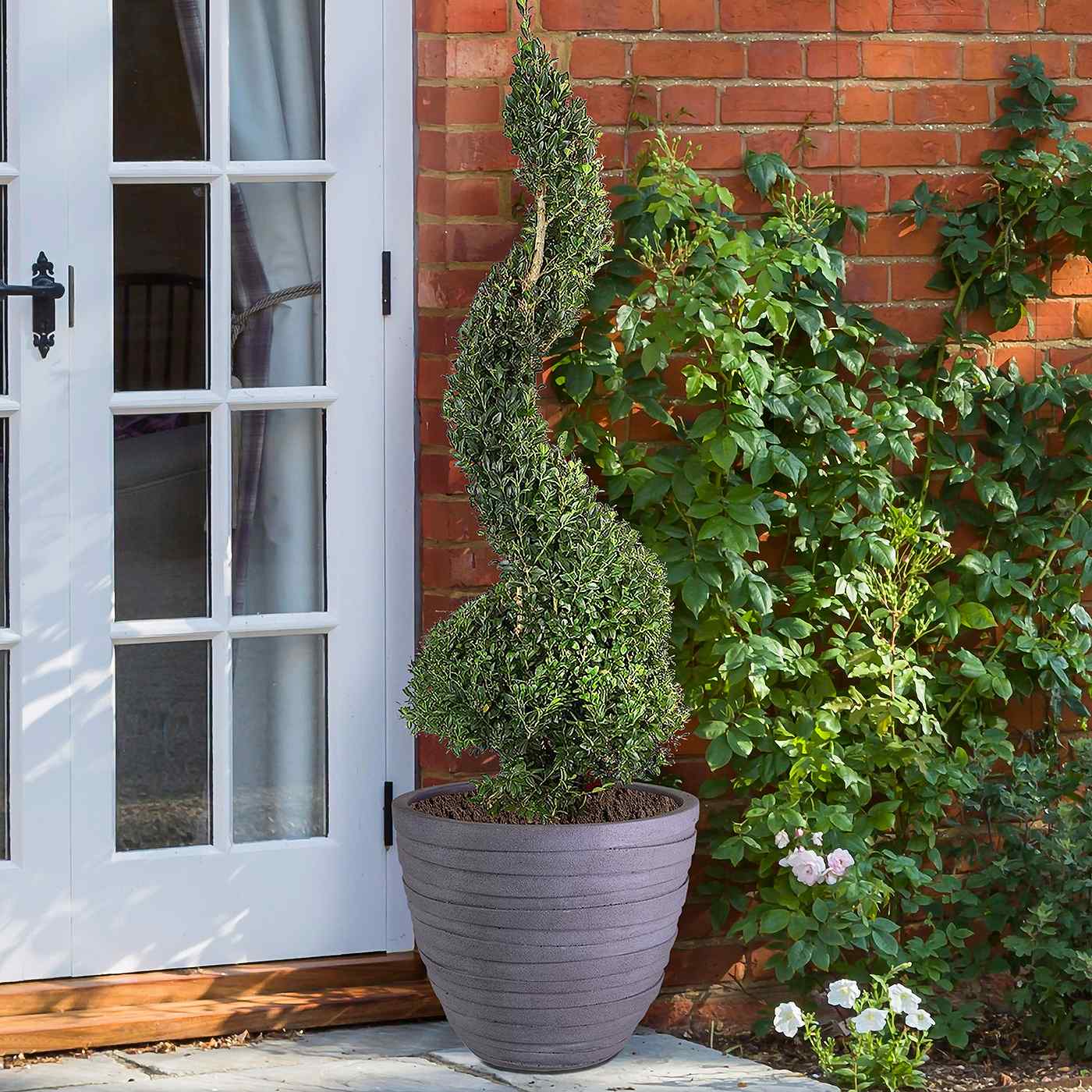 IDEALIST Lite Row Light Concrete Egg Planter