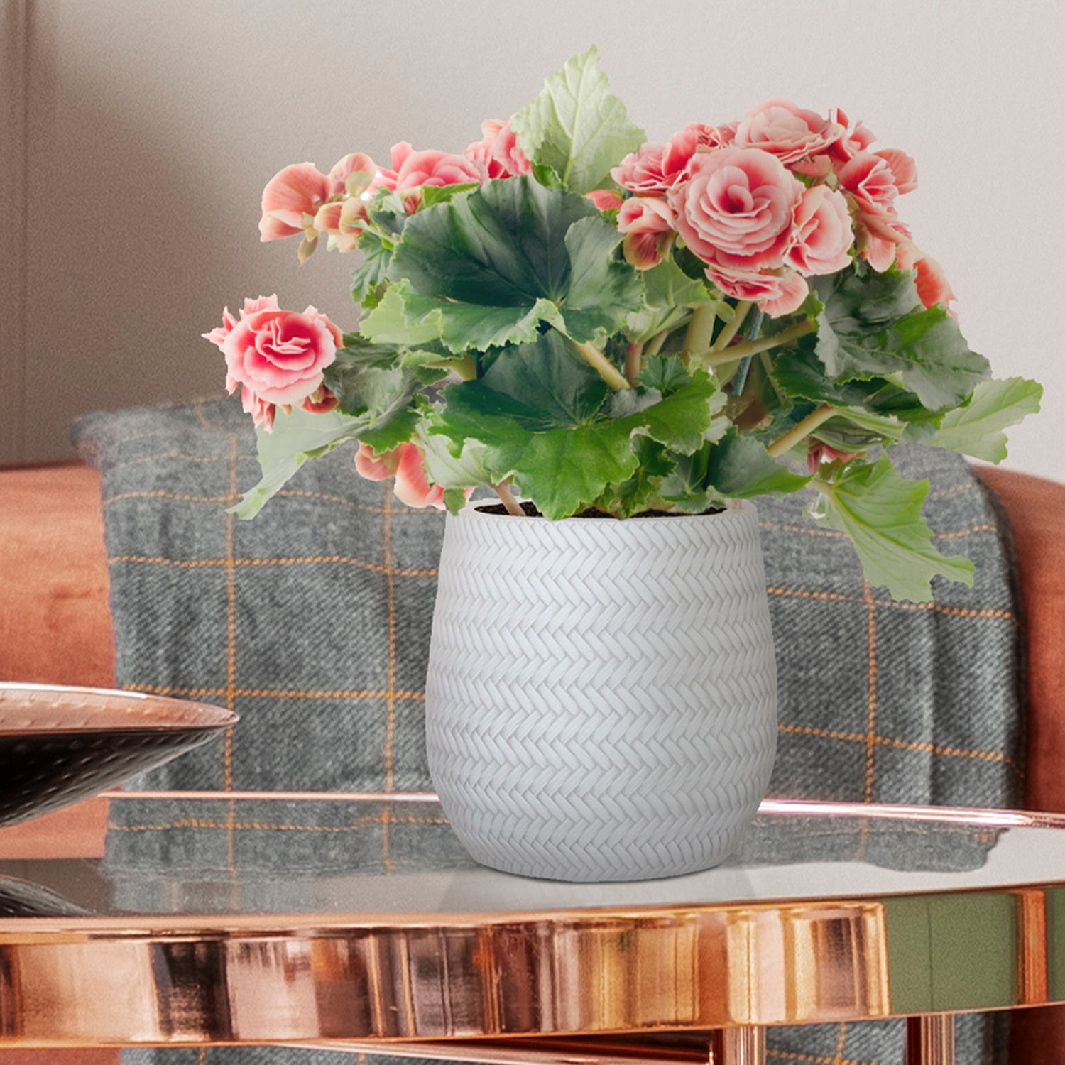 IDEALIST Lite Plaited Style Table and Hanging Plant Pot Dual Use Indoor Egg Planter