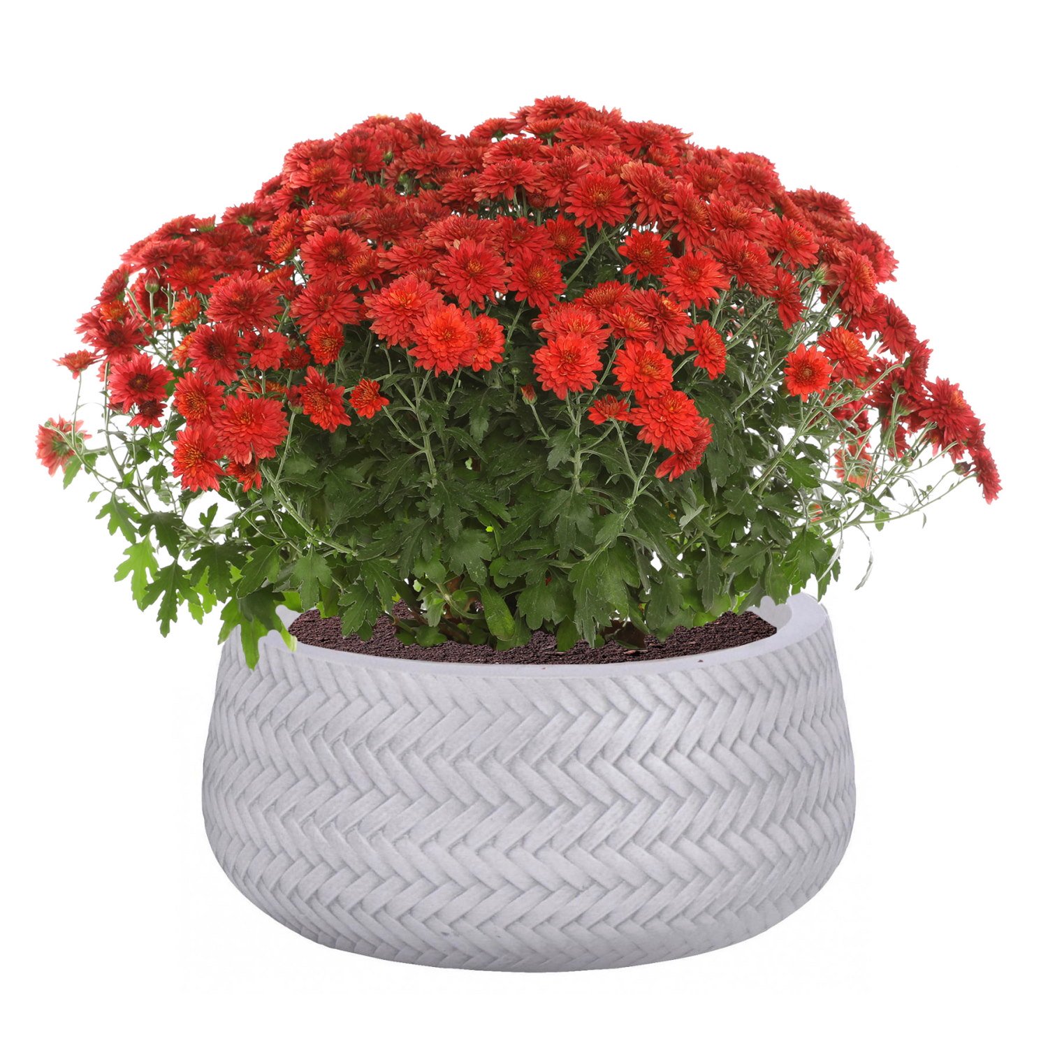 IDEALIST Lite Plaited Style Bowl Outdoor Planter