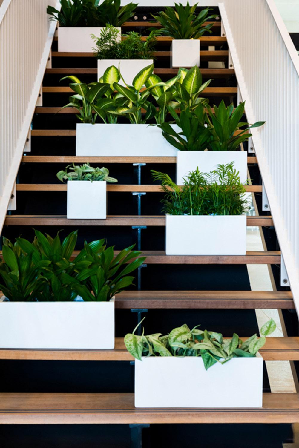 Fibrestone Jort Rectangle Planter by Idealist Premium