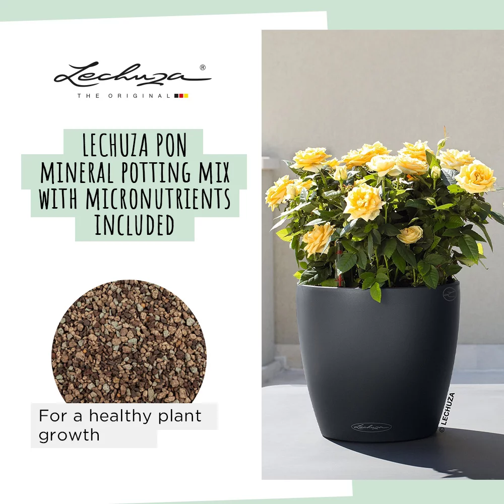 LECHUZA CLASSICO Color Round Poly Resin Self-watering Planter