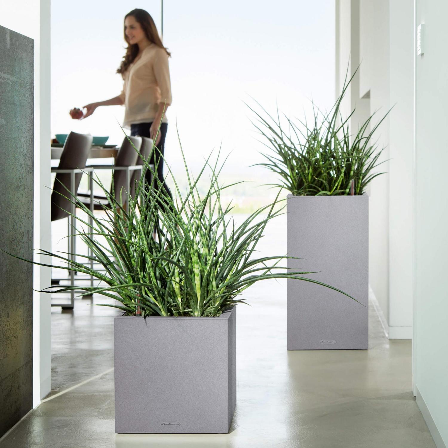 LECHUZA CANTO Stone High Square Tall Poly Resin Self-watering Planter