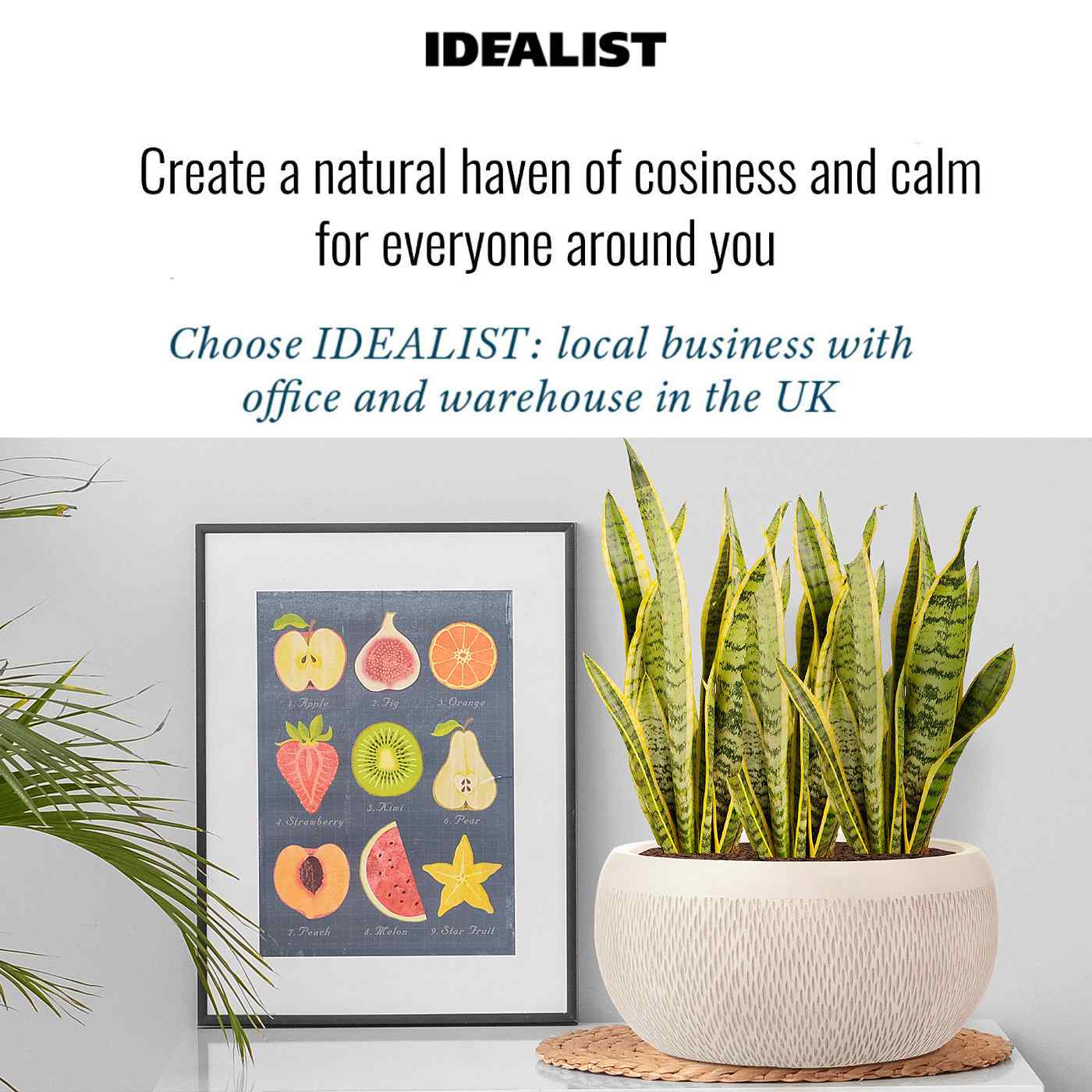IDEALIST Lite Mesh Style Bowl Planter Outdoor Plant Pot