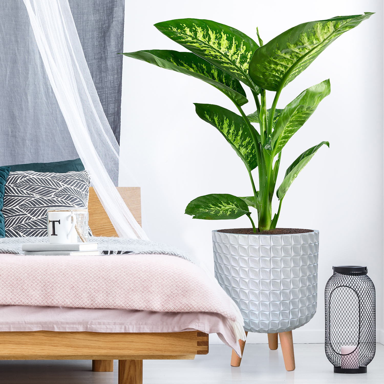 IDEALIST Lite Faceted Effect Planter on Legs