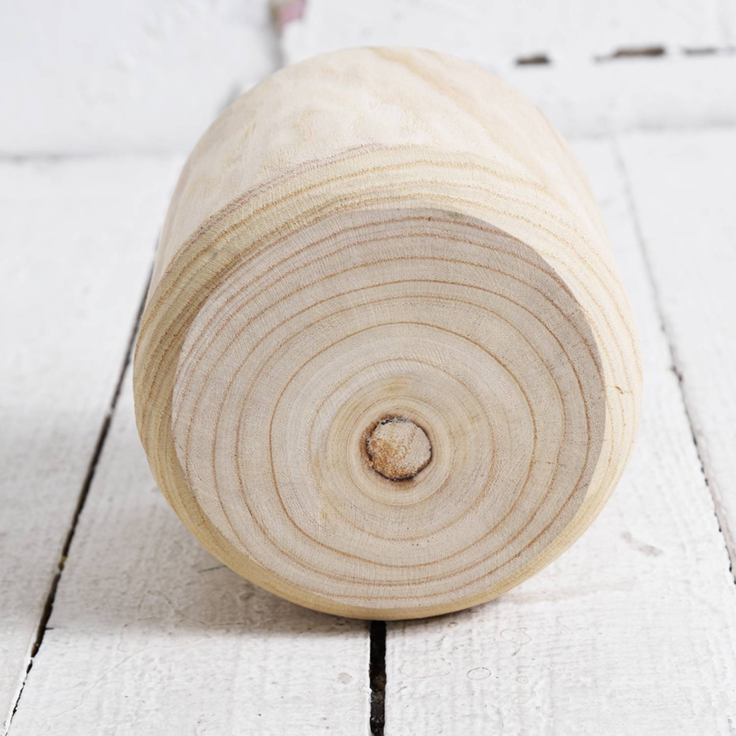 HORTICO CRAFT Wooden House Planter Round Indoor Plant Pot for House Plants with Waterproof Liner