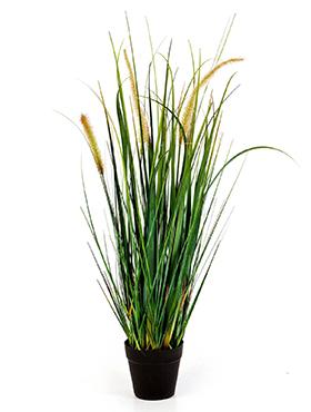 Foxtail Wild Artificial Grass Plant