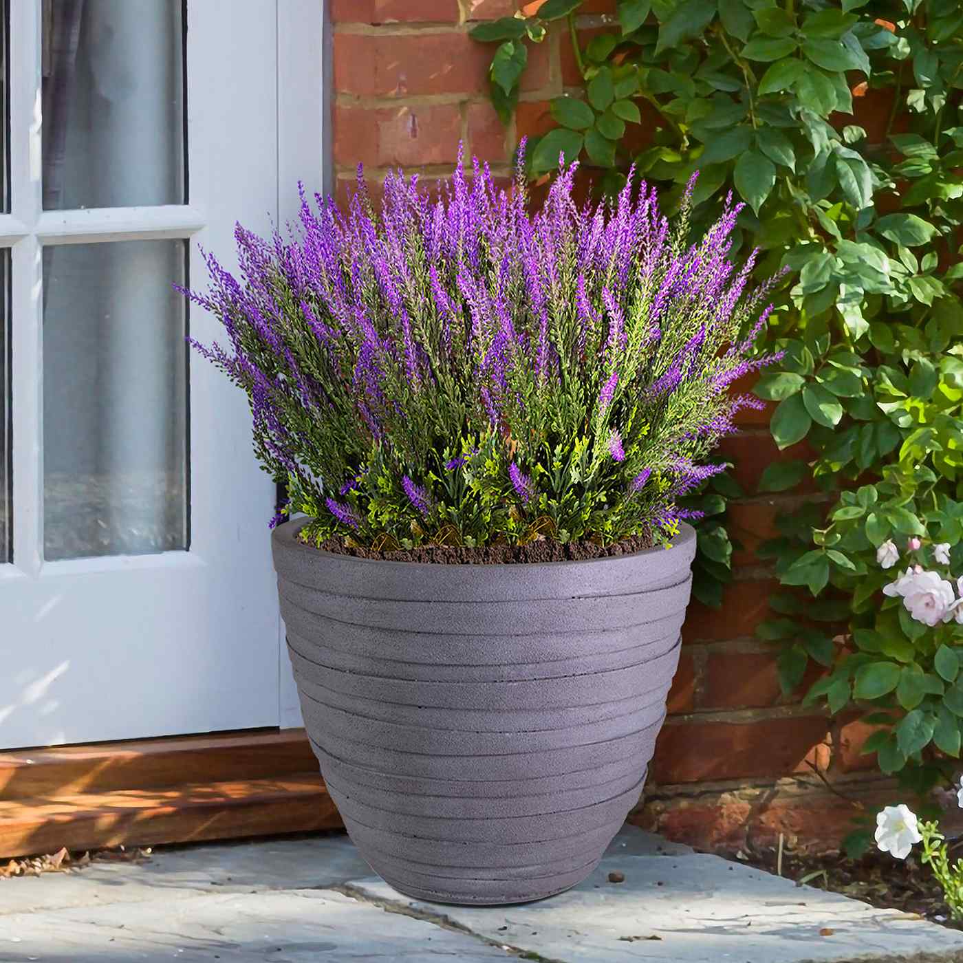 IDEALIST Lite Row Light Concrete Egg Planter