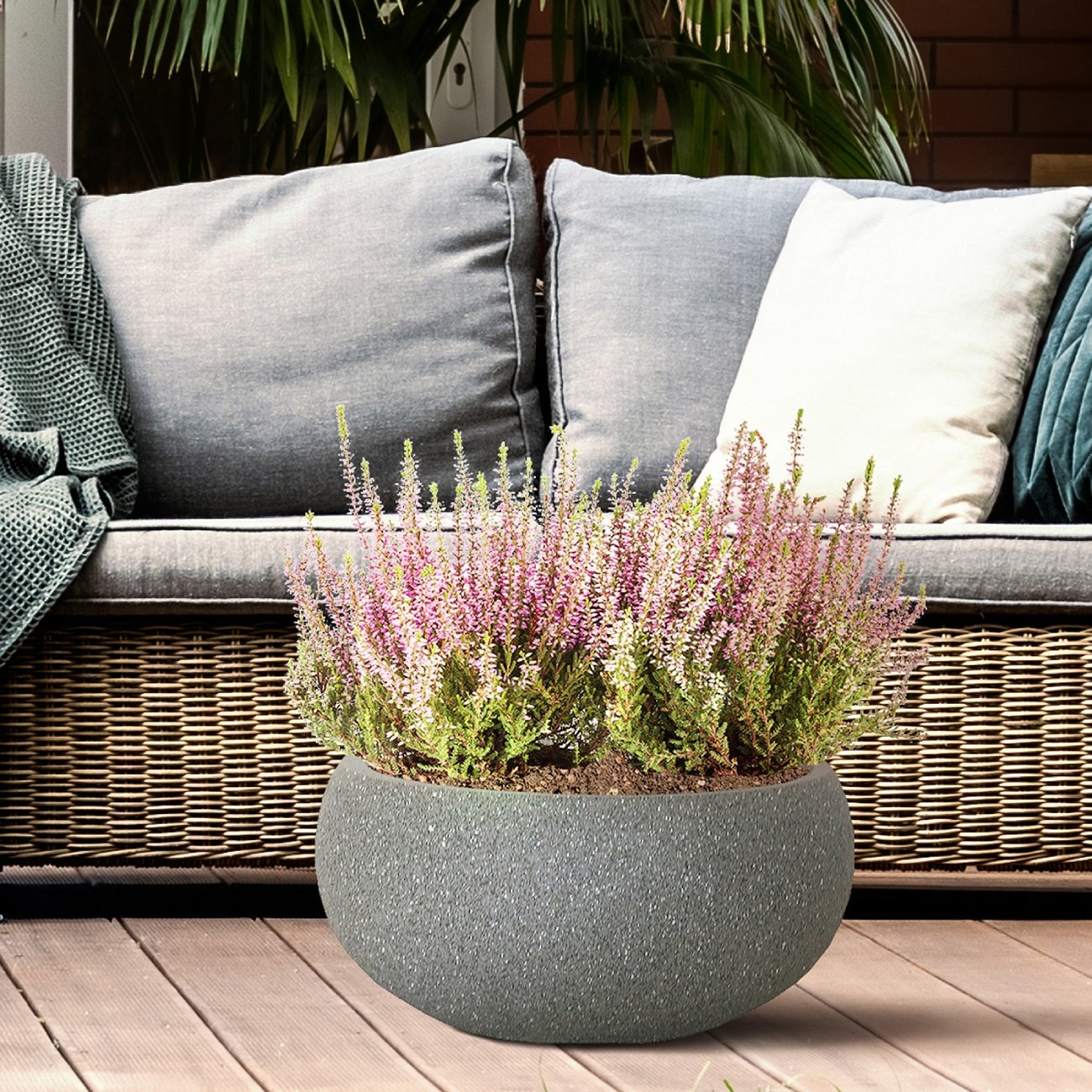 How to Choose a Large Indoor Planter and Plant for your Home How to Choose a Large Indoor Planter and Plant for your Home