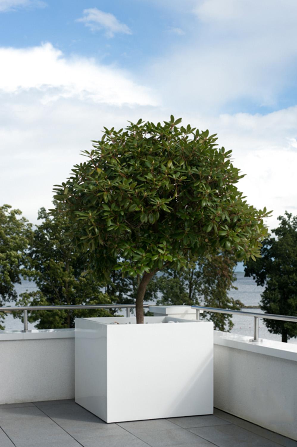 Square Fiberstone Planter by Idealist Premium JUMBO Glossy