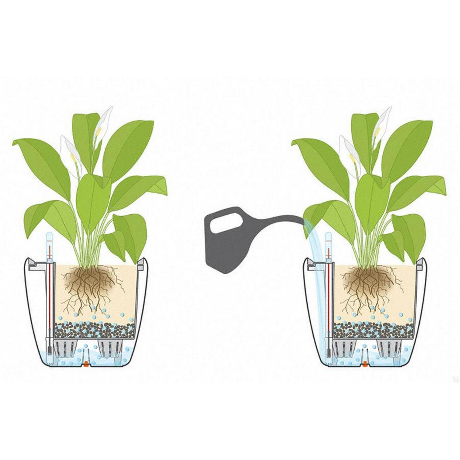 LECHUZA Quadro LS Square Poly Resin Self-watering Planter Set