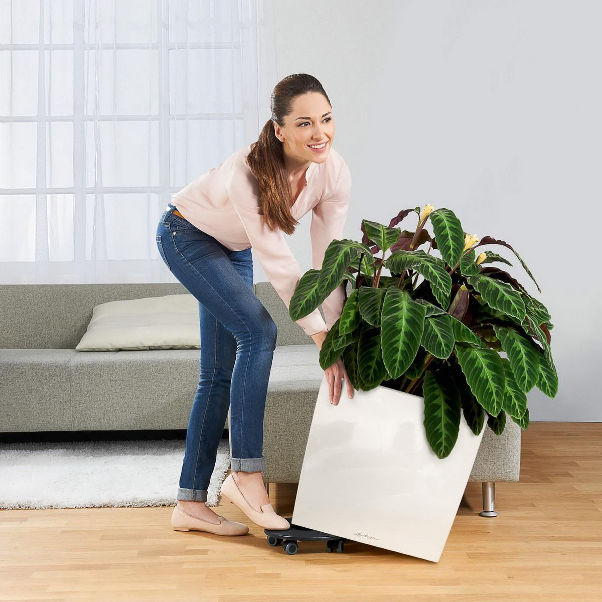 LECHUZA CUBE Square Poly Resin Planter Only