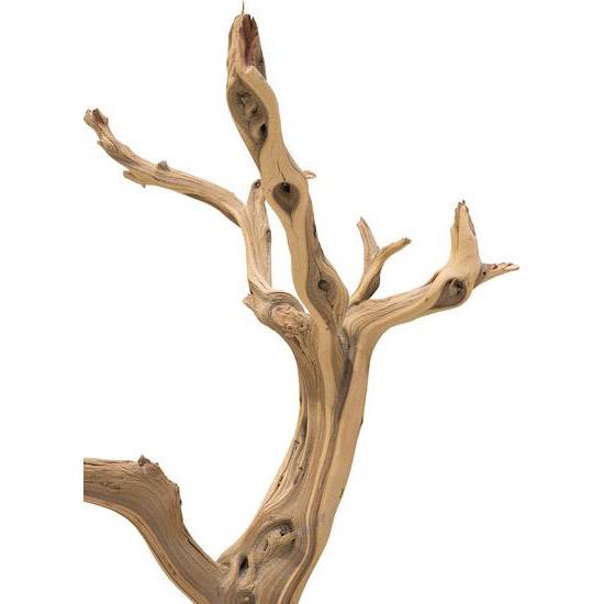 Ghostwood Sand Blasted Branchy Artificial Branch