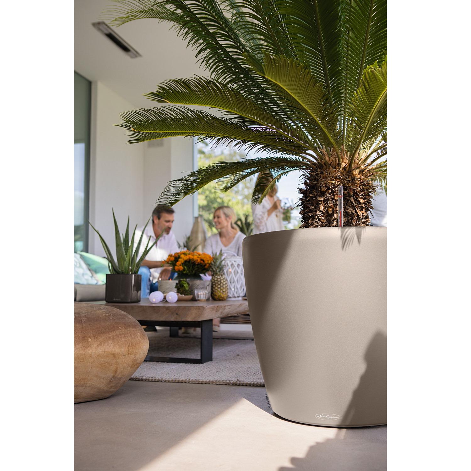 LECHUZA CLASSICO Color Round Poly Resin Self-watering Planter