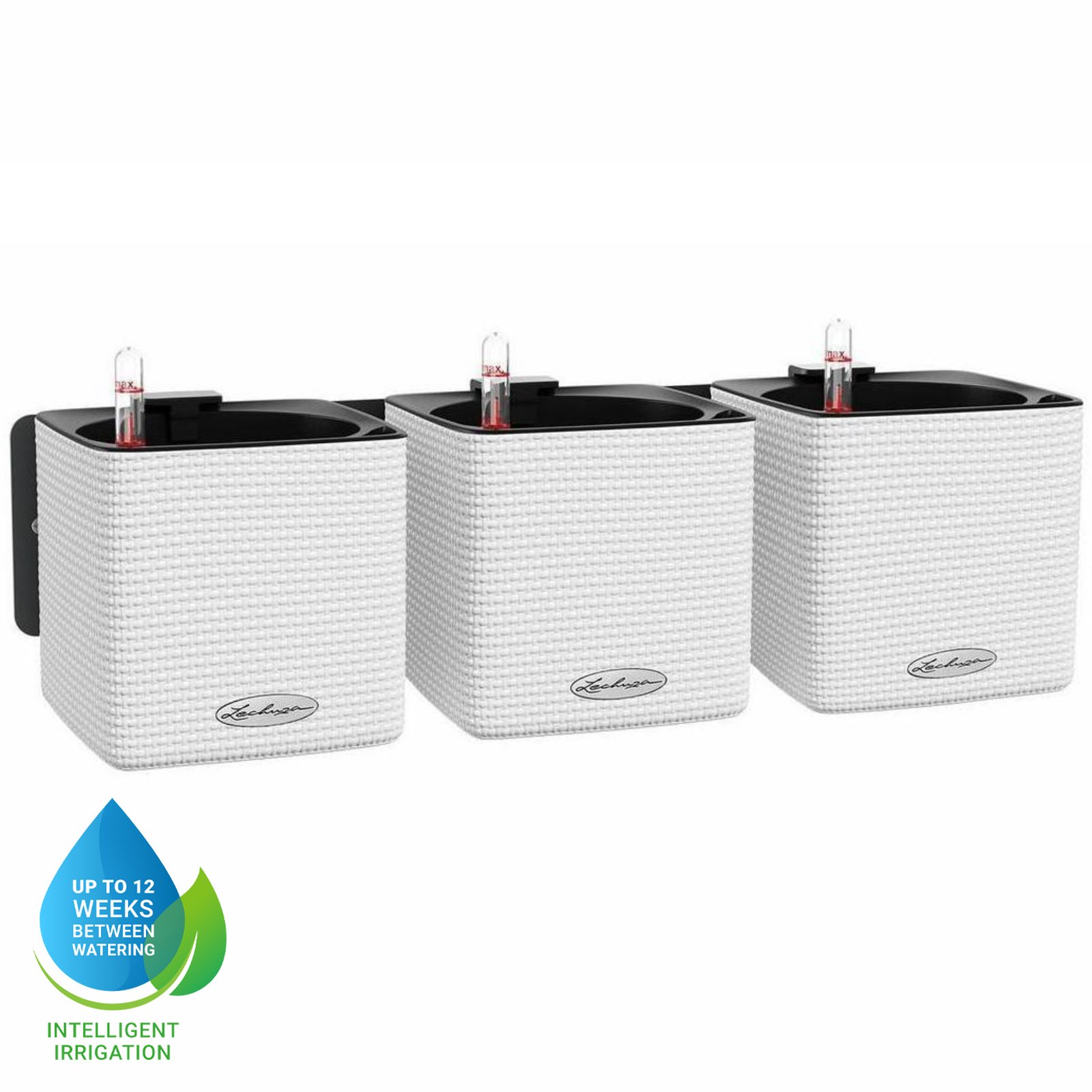 LECHUZA Green Wall Home Kit Color Indoor Self-watering Planter