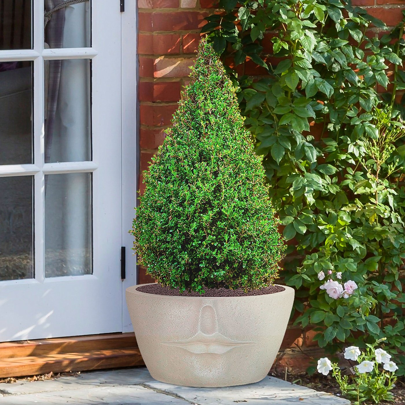 Original ways to arrange your plants in pots outdoors