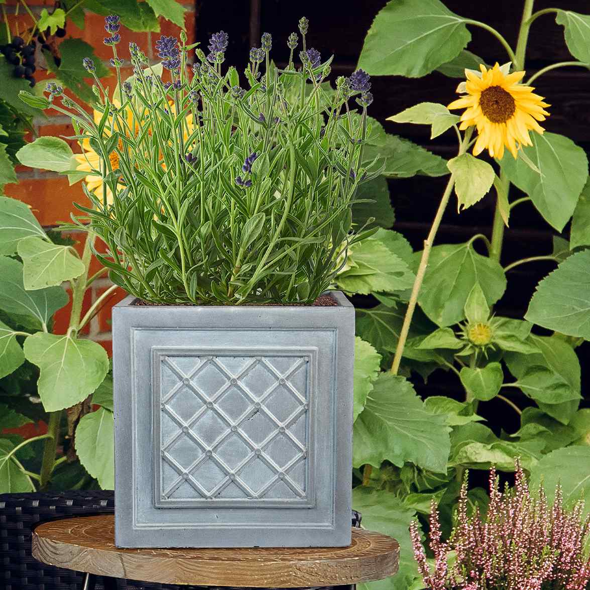 IDEALIST Lite Faux Lead Lattice Planter Light Concrete Square Box
