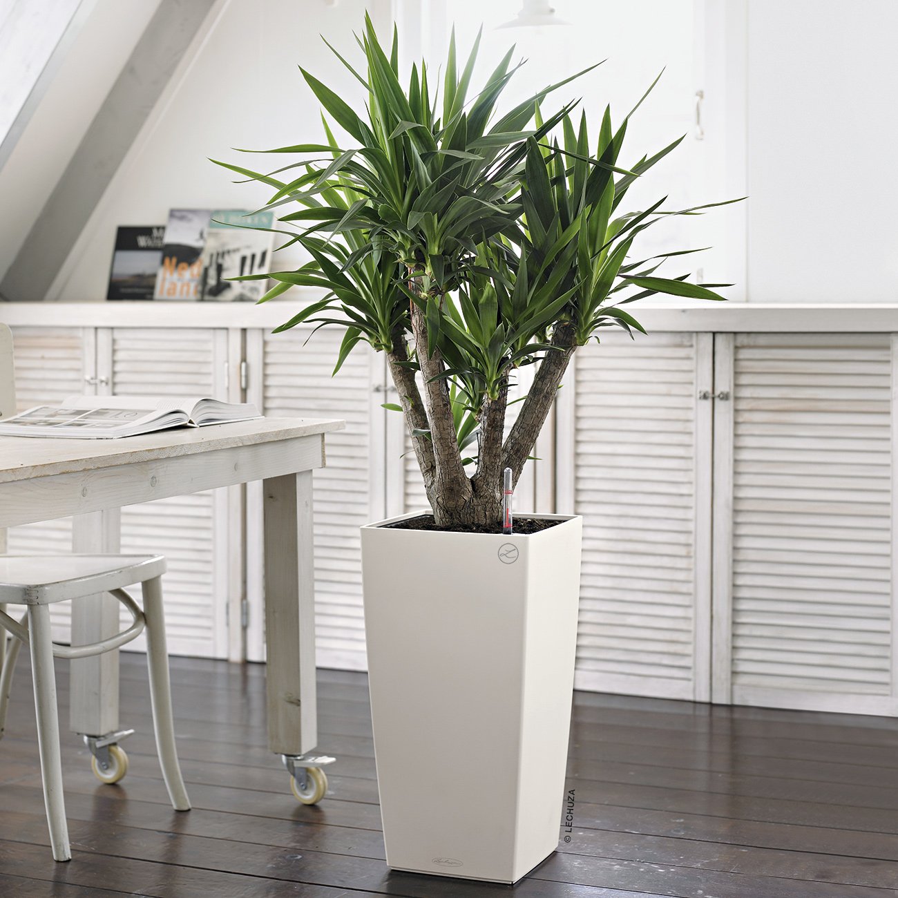 LECHUZA CUBICO Color Square Tall Poly Resin Self-watering Planter