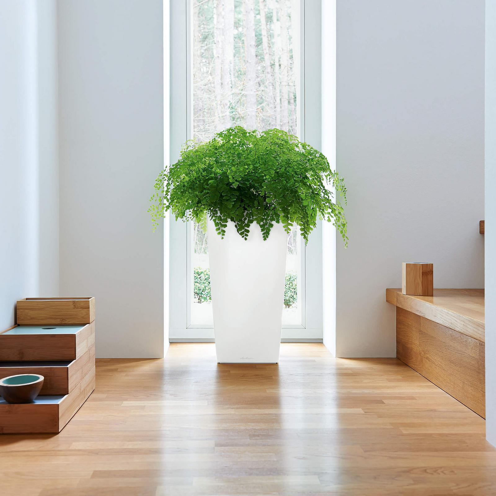 LECHUZA CUBICO Color Square Tall Poly Resin Self-watering Planter