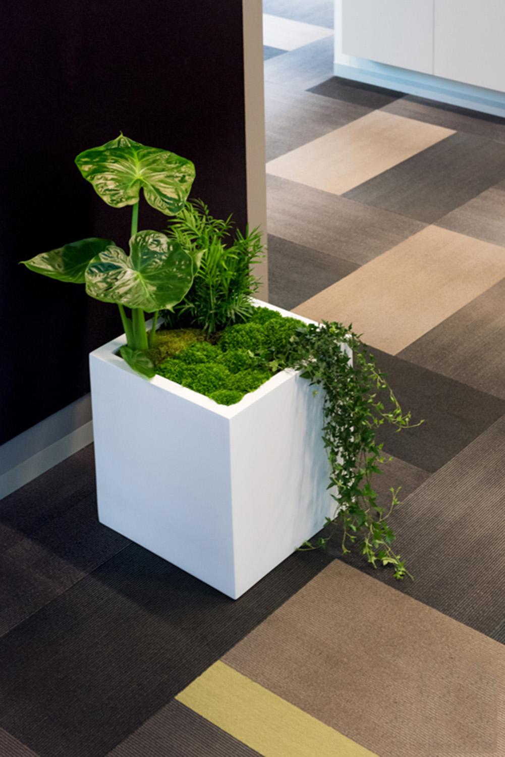 Square Fiberstone Planter by Idealist Premium JUMBO
