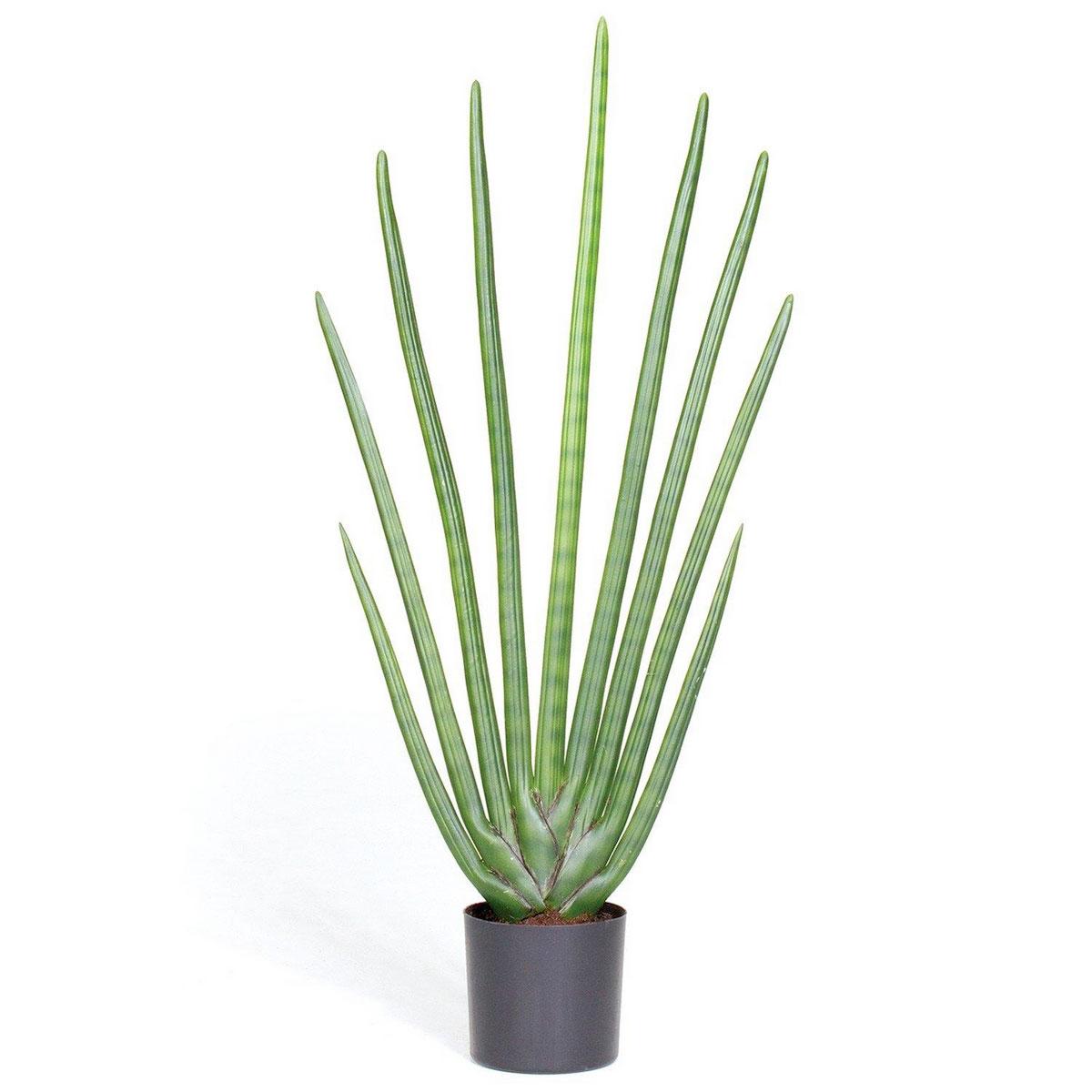 SANSEVIERIA CYLINDRICA Artificial Flower Plant